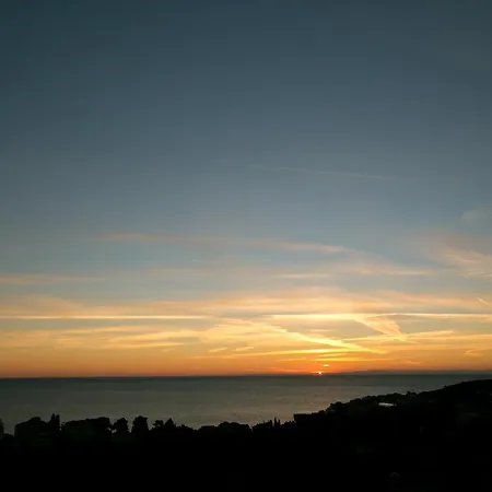 Bona 杜布罗夫尼克