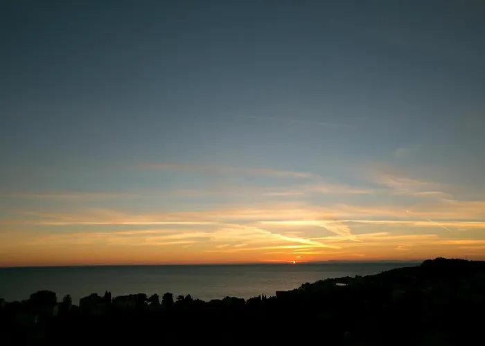 Bona 杜布罗夫尼克